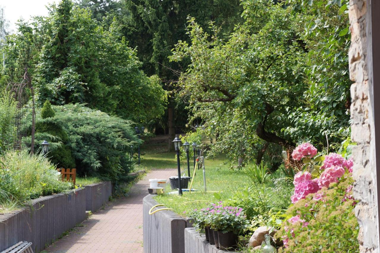 Ferienwohnung In Werder Havel Innenstadt Buitenkant foto